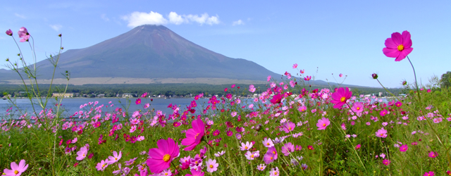 山中湖について 山中湖について