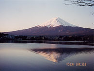 場内からの富士山と河口湖
