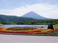湖畔沿いの花壇からの富士